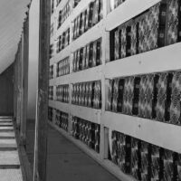 Bit Digital Relocates Bitcoin Miners to Soluna, KaboomRacks as Coinmint Phases Out 46 MW bit digital