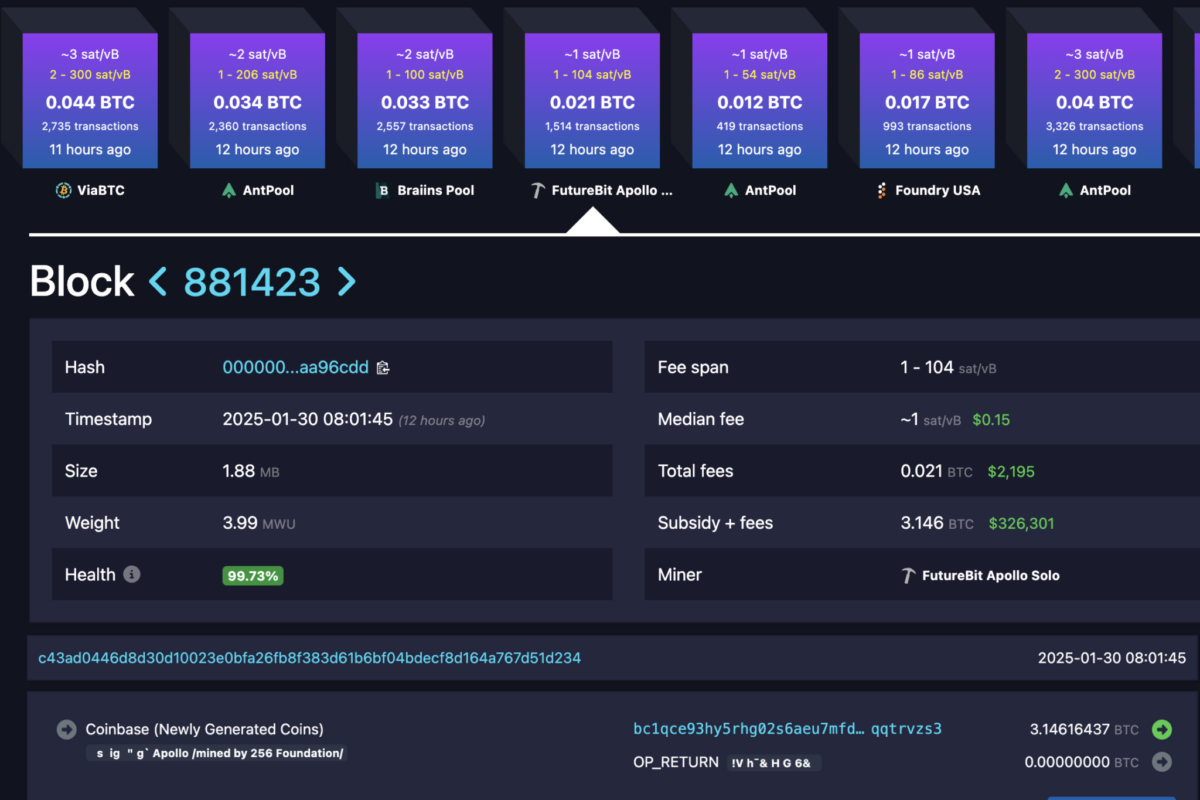 First-Ever Bitcoin Hashrate Fundraiser Mines Full Block for Non-Profit
